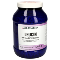 LEUCIN 500 mg GPH Kapseln