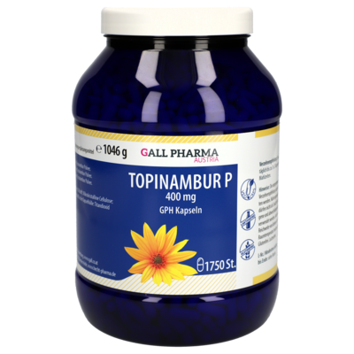 TOPINAMBUR P 400 mg GPH Kapseln