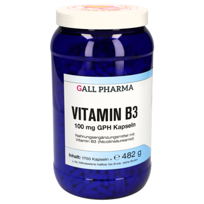 VITAMIN B3 100 mg GPH Kapseln