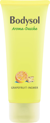 BODYSOL Aroma Duschgel Grapefruit Ingwer