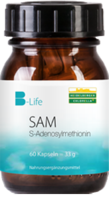 SAM S-ADENOSYLMETHIONIN Kapseln