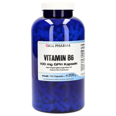 VITAMIN B6 100 mg GPH Kapseln