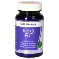 MUSKEL-FIT GPH Kapseln