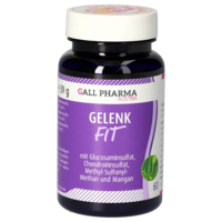 GELENK-FIT GPH Kapseln