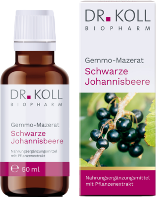 GEMMO Mazerat schwarze Johannisbeere Dr.Koll Ribes